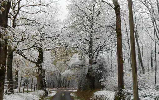 Paslières en images