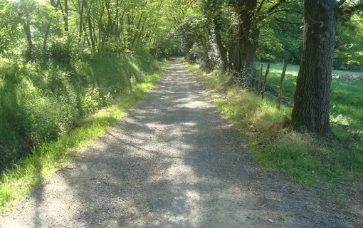 Paslières en images