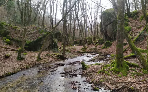 Au fil de l'eau